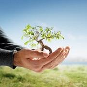 Tree Cowboys and Landscaping LLC Tree Cowboys and Landscaping LLC