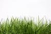 Greywater Info & Support