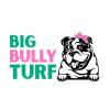bigbullyturfirving
