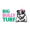 bigbullyturf