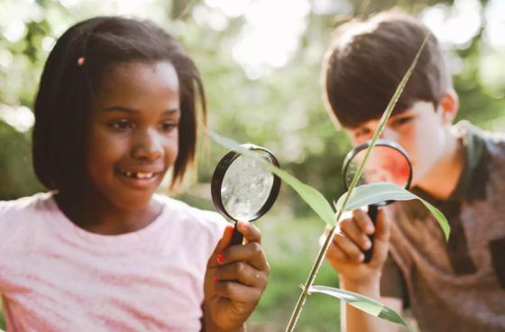 Green School = Smart Students study