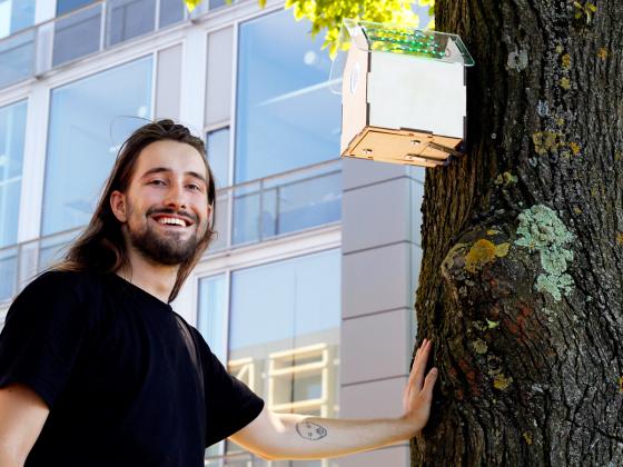 A Birdhouse FreeWifi Offers Internet Connection When Air is Clean TreeWifi