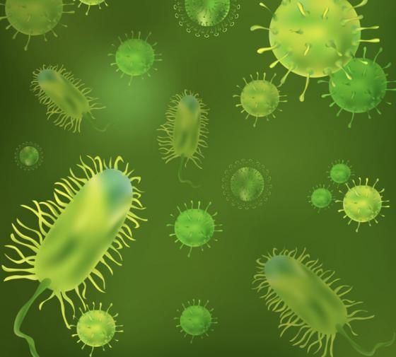 Anti-Microbials, Anti-Bacterials, Disinfectants, Oh My! bacteria, antimicrobial, covid, virus