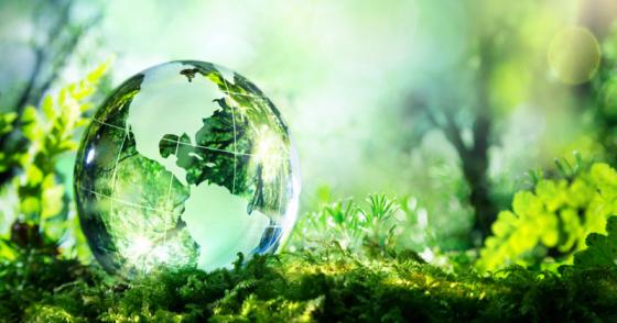 The Green Trend is Happening-- Catch up! Hayseeds Creative