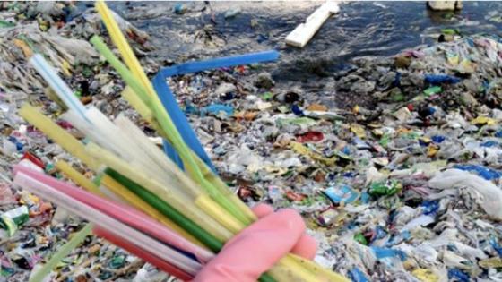 Companies and Cities joining the Movement Away from Plastic Straws No to plastic straws