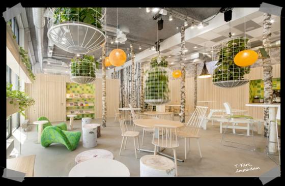Study: A Summarization of the Top Green Building Features Study