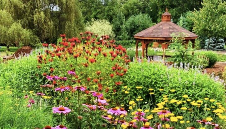Webinar: Transform Your Lawn to Save Our Ecosystem