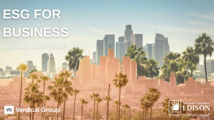 Online Workshop: Environmental, Social & Governance ESG for Businesses, August 30