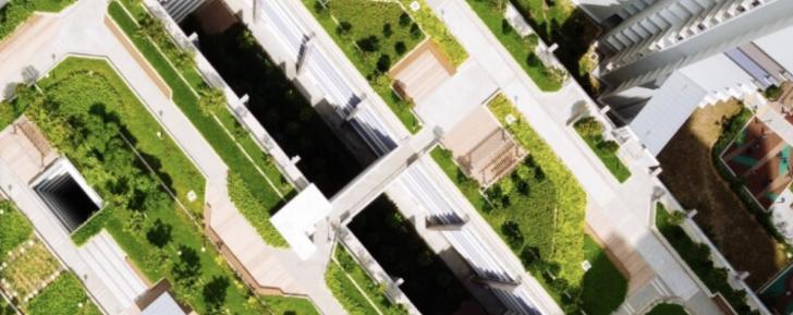 Building Resilience: Community as a Building Block for Resilience